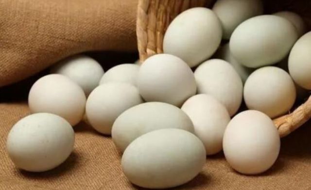 Tuỳ vào bối cảnh cụ thể mà ý nghĩa thấy trứng vịt trong mơ sẽ khác nhau Tuỳ vào bối cảnh cụ thể mà ý nghĩa thấy trứng vịt trong mơ sẽ khác nhau