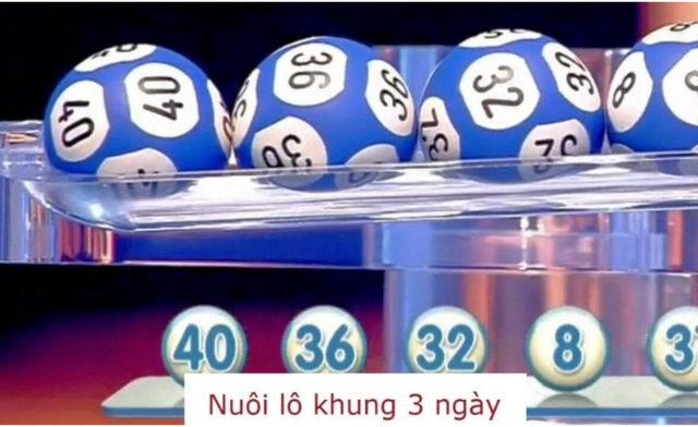 Bí quyết nuôi lô bạch thủ khung 3 ngày siêu chuẩn từ cao thủ Bí quyết nuôi lô bạch thủ khung 3 ngày siêu chuẩn từ cao thủ