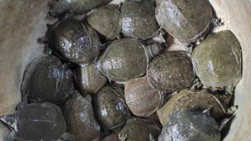 Baba số mấy? Mơ thấy baba mang đến thông điệp gì cho bạn? 