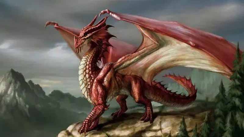 Rồng số mấy? Giải mã ý nghĩa giấc mơ thấy rồng và con số may mắn chuẩn nhất