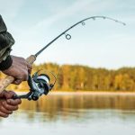 Ngủ mơ thấy câu cá đánh đề số mấy? Điềm báo tài lộc đang đến