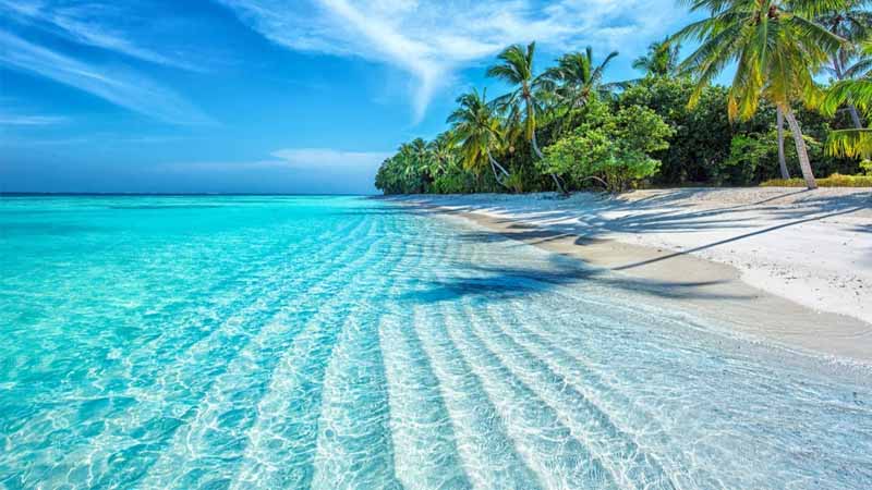 Biển số mấy? Giải mã giấc mơ thấy biển theo tâm linh và vận may