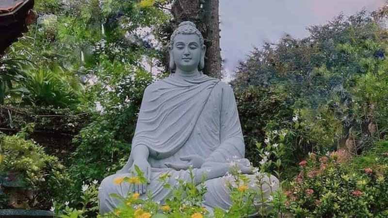 Phật Thích Ca số mấy? Giải mã giấc mơ thấy Phật theo góc nhìn tâm linh