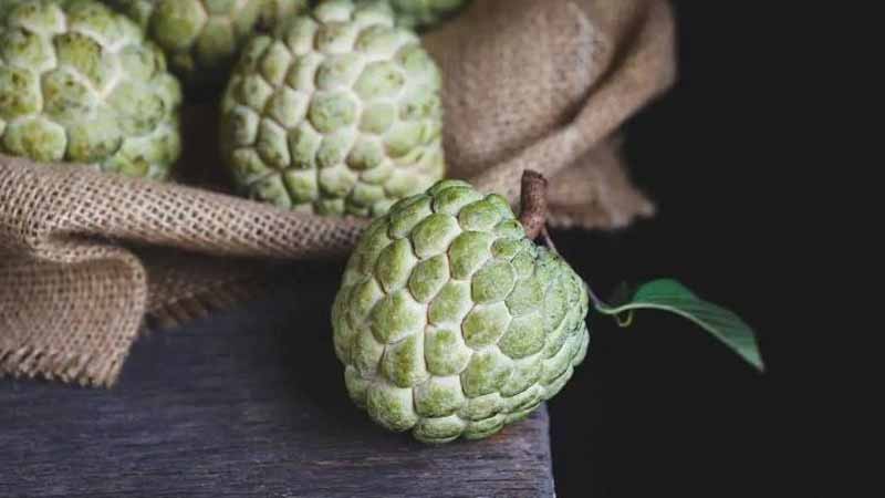 Quả na số mấy? Giải mã giấc mơ thấy quả na cực chuẩn theo sổ mơ