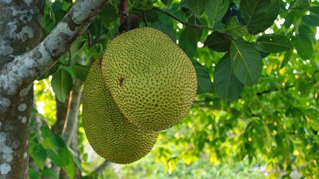 Giấc mơ là điềm lành hay dữ tuỳ vào suy nghĩ của từng người